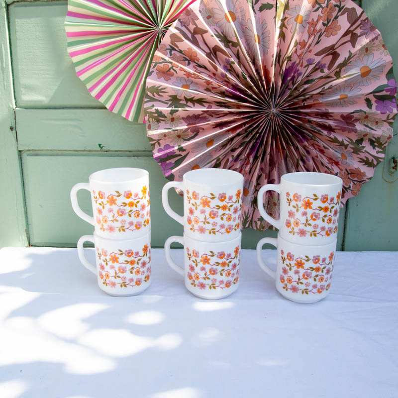 6 Mugs Arcopal Petites Fleurs Scania Bonjour Mimosa